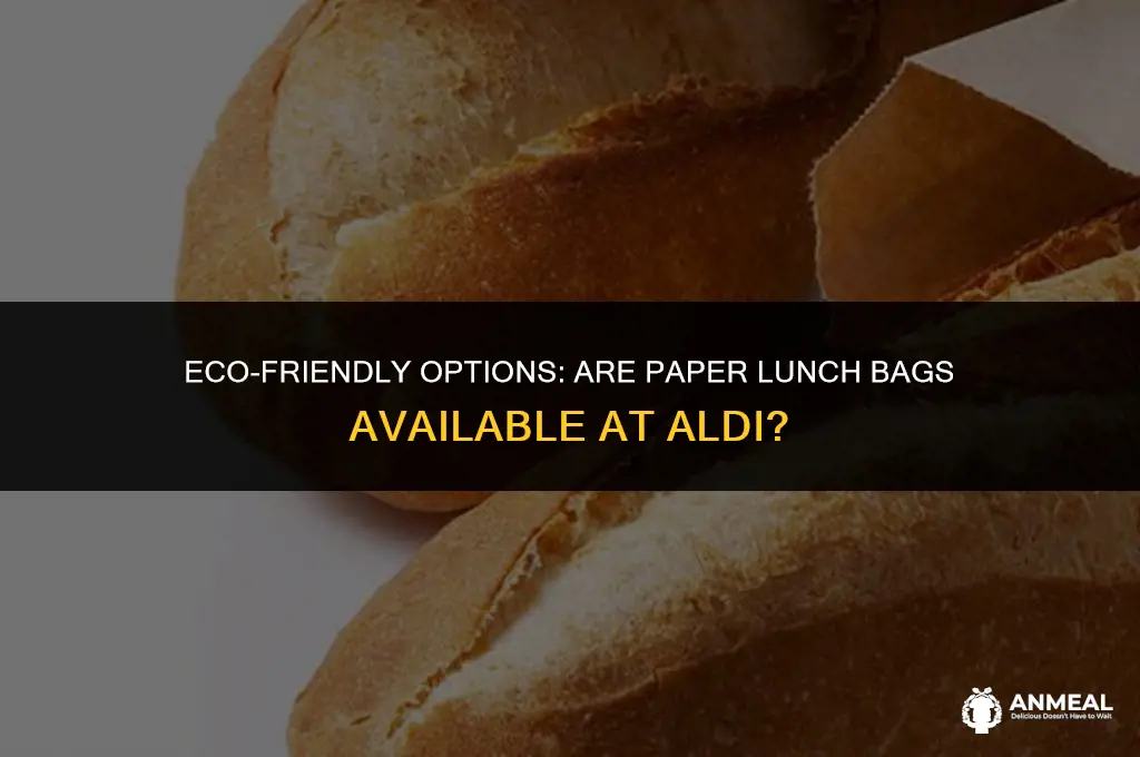 does aldi sell paper lunch bags