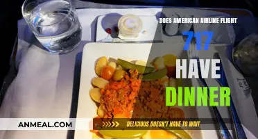 Does American Airlines Flight 717 Serve Dinner? Find Out Here