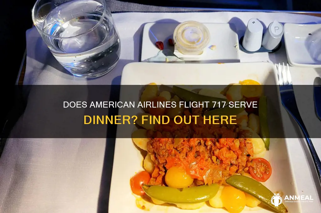 does american airline flight 717 have dinner