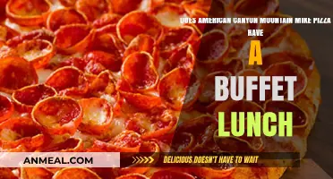 Savoring the Flavors: American Canyon Mountain Mike's Pizza Buffet Lunch