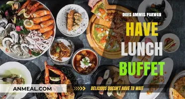 Exploring Ammis Pakwan: Lunch Buffet Options and More