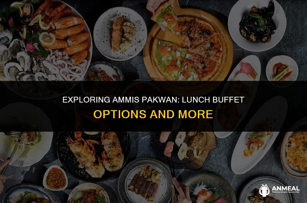 does ammis pakwan have lunch buffet