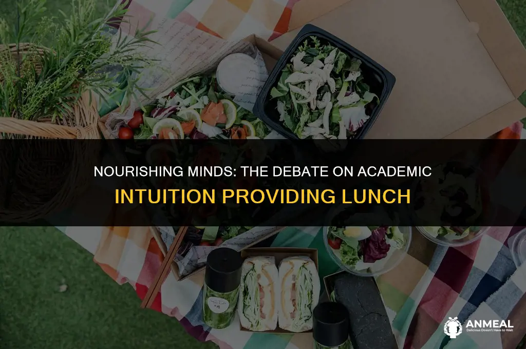 does an academic intuition need to provide lunch