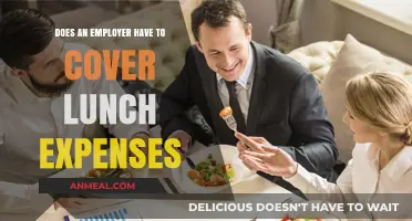 Lunch Expenses at Work: Employer Obligations Explained