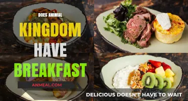 Exploring Animal Kingdom's Breakfast Offerings: A Morning Dining Guide