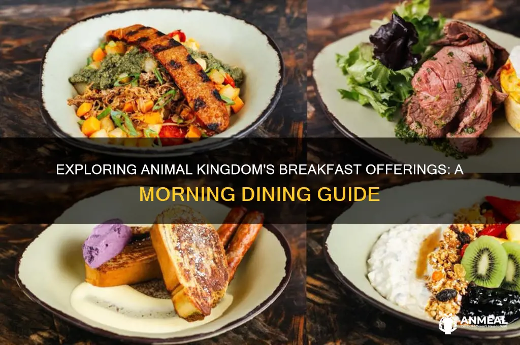 does animal kingdom have breakfast