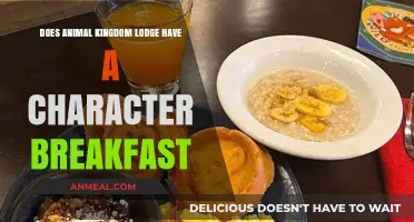 Character Breakfast at Animal Kingdom Lodge — What to Expect