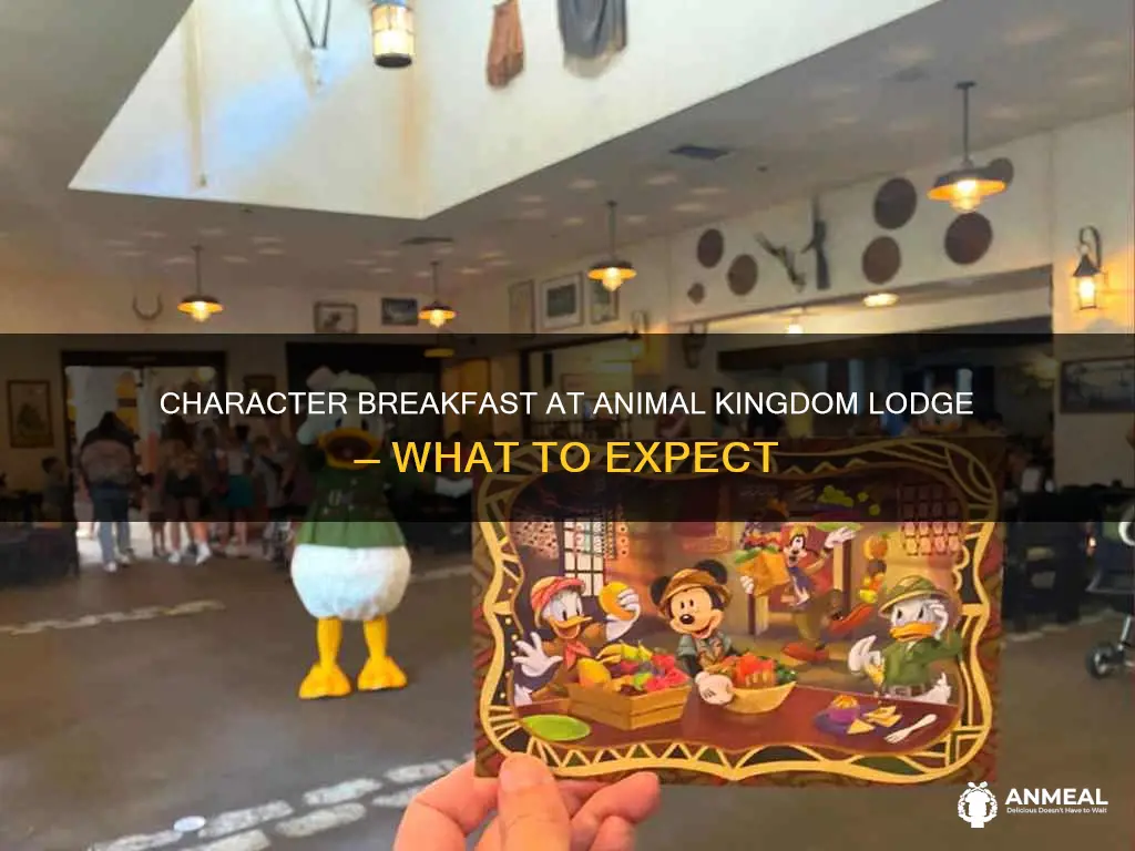 does animal kingdom lodge have a character breakfast