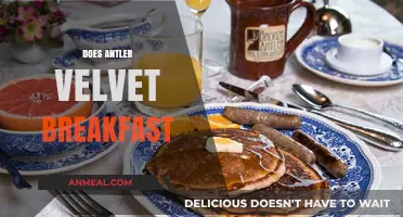 Antler Velvet Breakfast: Unlocking Nutritional Benefits and Morning Energy Boosts
