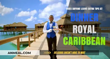 Extra Tips at Royal Caribbean Dinners: Common Practice or Rare?