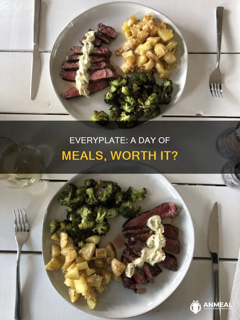 does anyone use everyplate for breakfast lunch and dinner