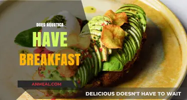 Does Aquatica Offer Breakfast? Exploring Dining Options at the Park