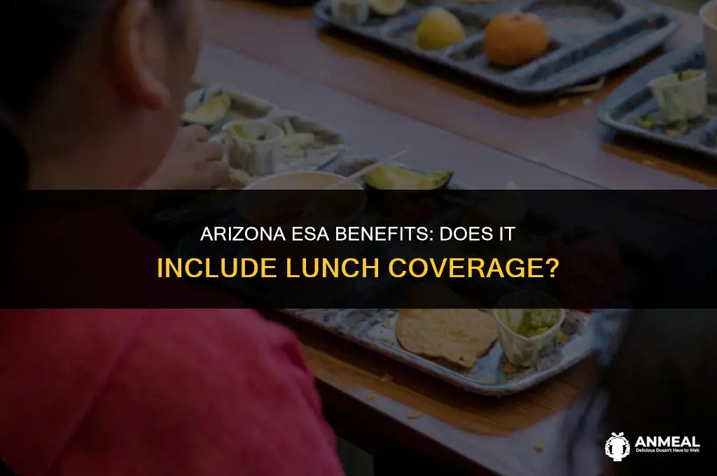 does arizona esa cover lunches