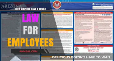 Understanding Arizona's Employee Lunch Break Laws: A Complete Guide
