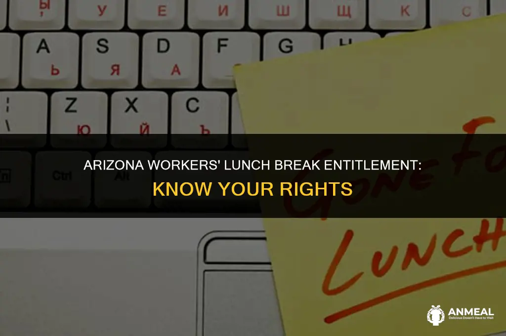 does arizona worker to take a lunch