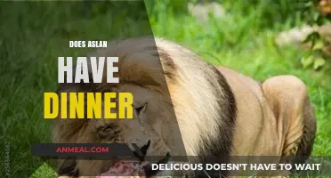 Does Aslan Have Dinner? Exploring the Lion's Diet in Narnia