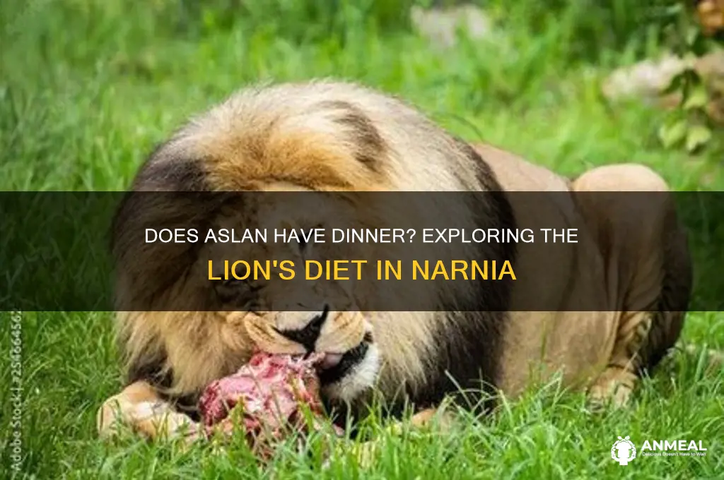 does aslan have dinner