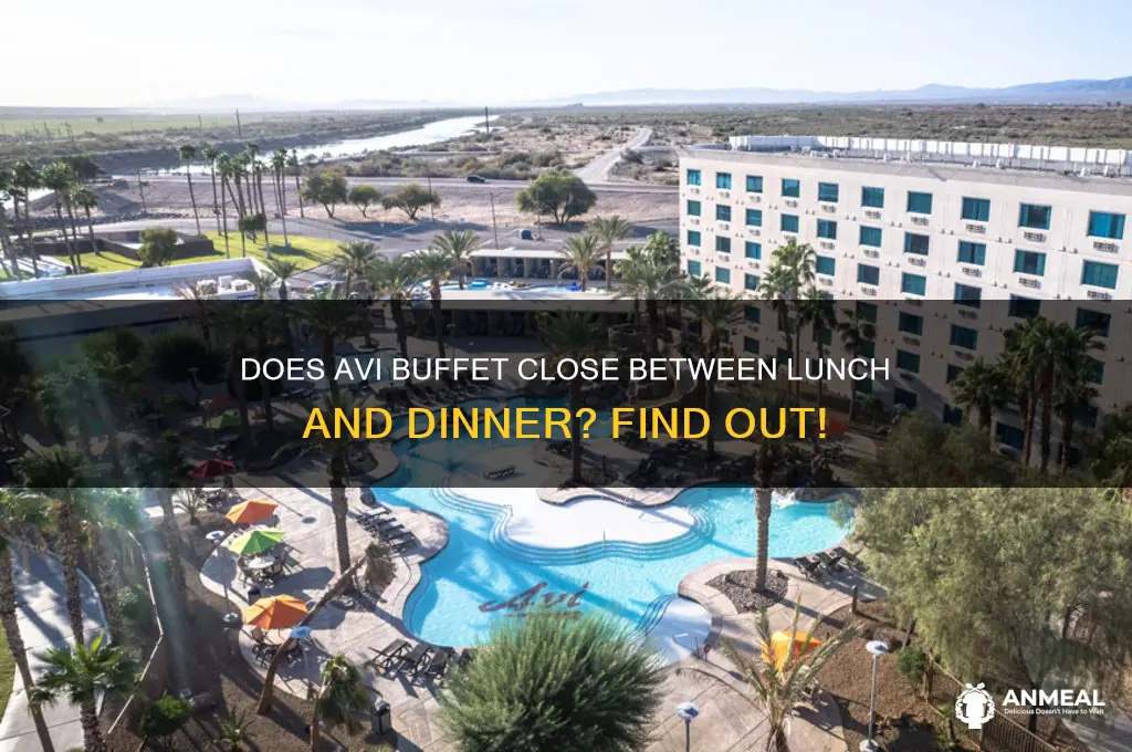 does avi buffet close between lunch and dinner
