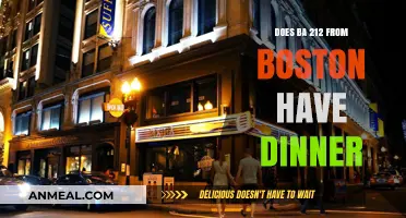 BA 212 Boston: In-Flight Dinner Options and Services Explained