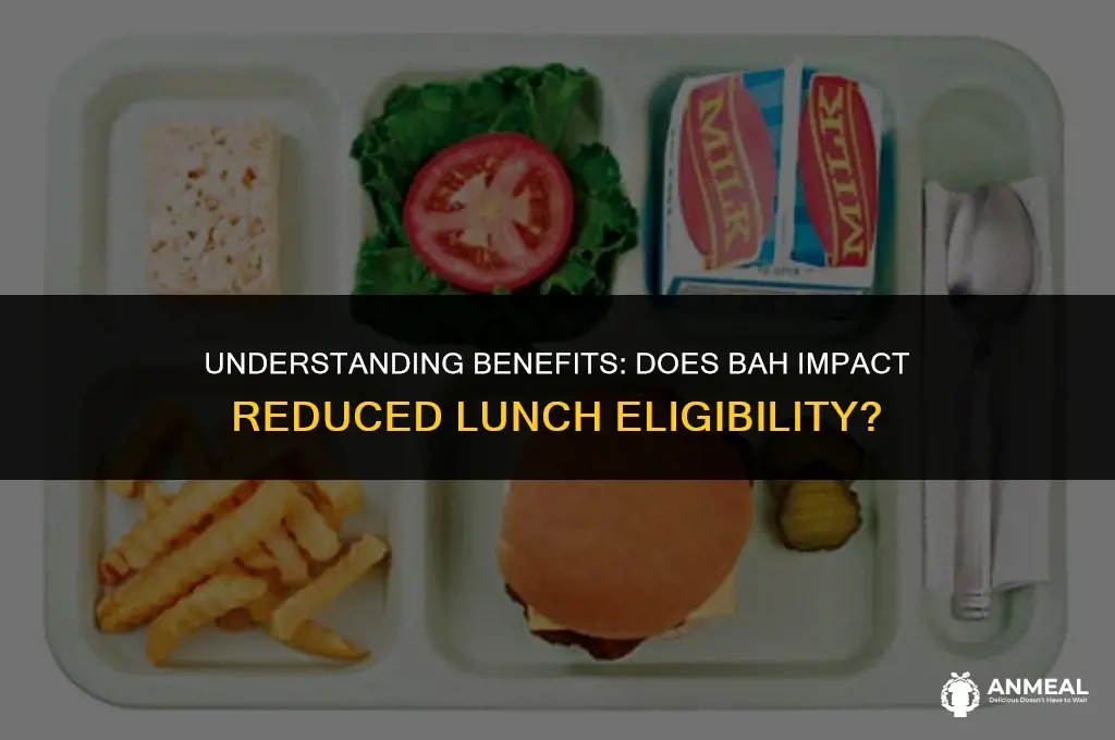 does bah count as income for reduced lunch