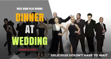 Wedding Dinner Music: Should the Band Play During the Meal?