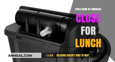 Bank of America Lunch Hours: Does It Close?