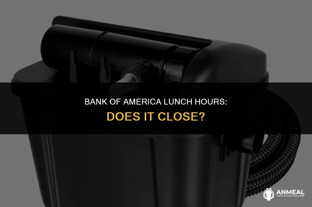 does bank of america close for lunch