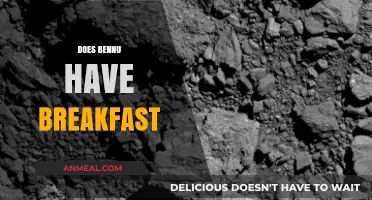 Does Bennu Have Breakfast? Exploring the Asteroid's Morning Rituals