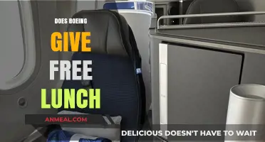 Exploring Corporate Perks: Does Boeing Offer Free Lunches?