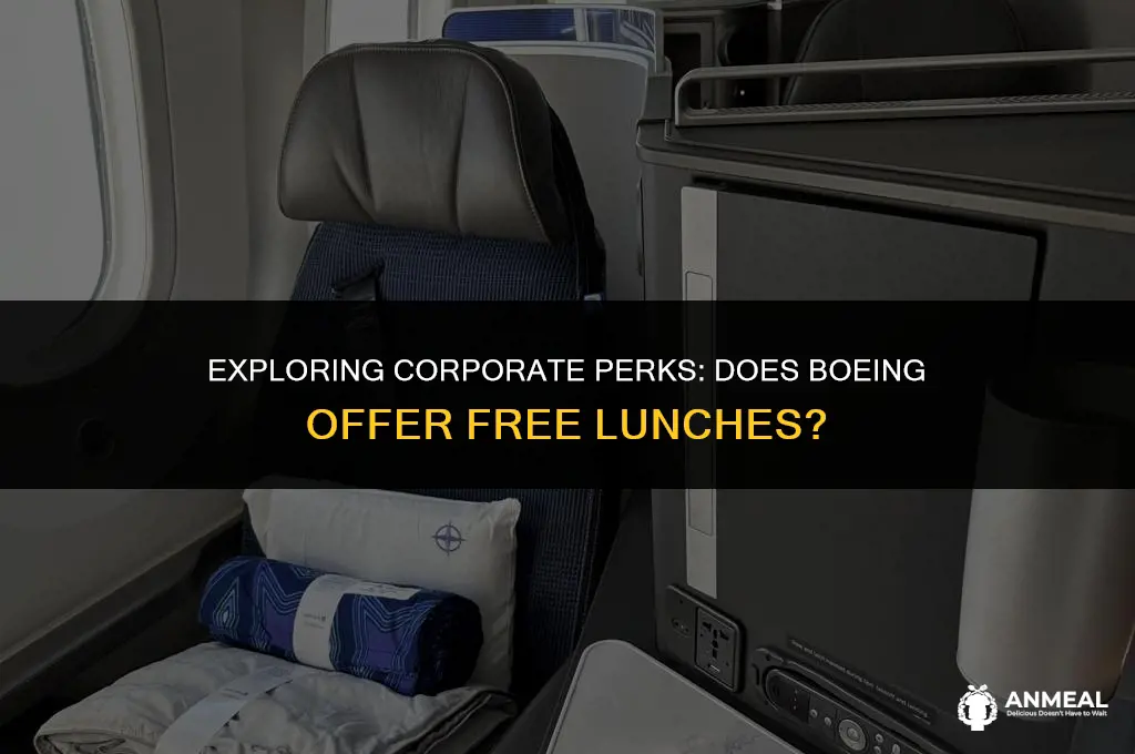 does boeing give free lunch