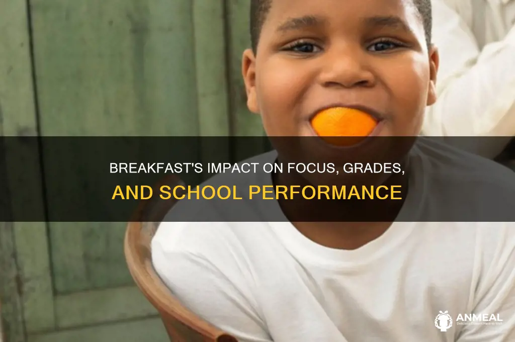 does breakfast affect school performance