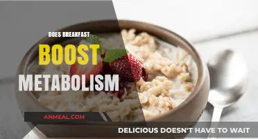 Breakfast's Role in Boosting Metabolism: Fact or Fiction?