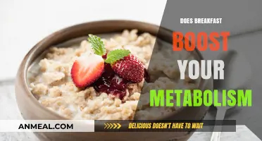 Breakfast's Impact: Does Morning Fuel Really Boost Your Metabolism?