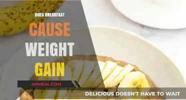Breakfast and Weight Gain: Myth or Morning Meal Reality?