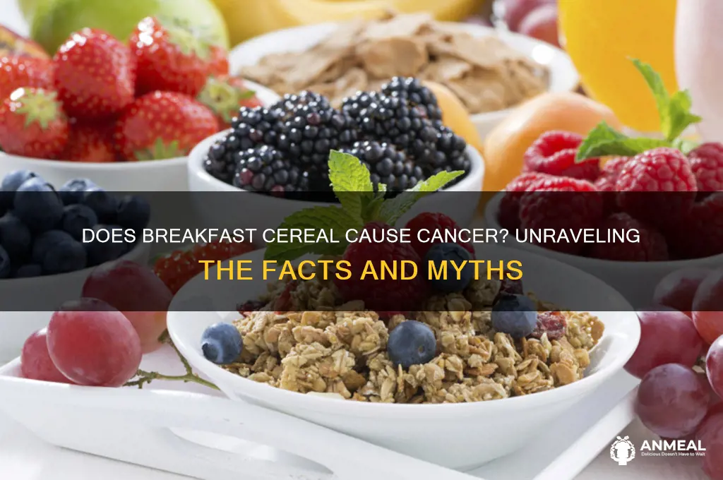 does breakfast cereal cause cancer