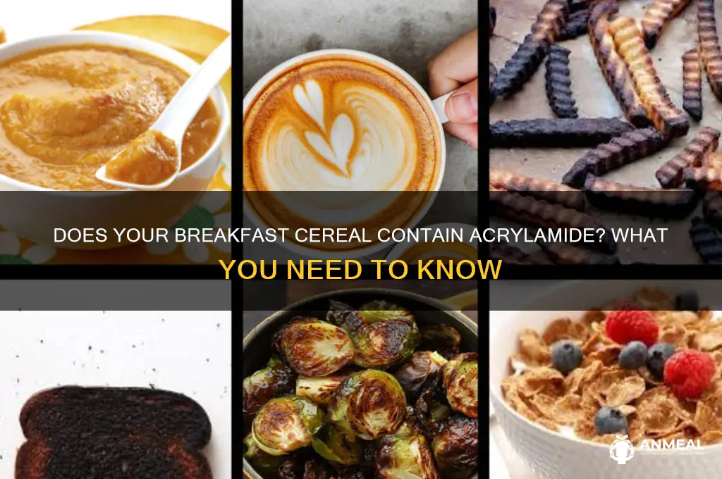 does breakfast cereal contain acrylamide