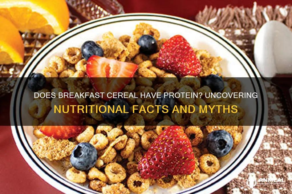 does breakfast cereal have protein