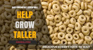 Breakfast Essentials: Do They Help You Grow Taller?