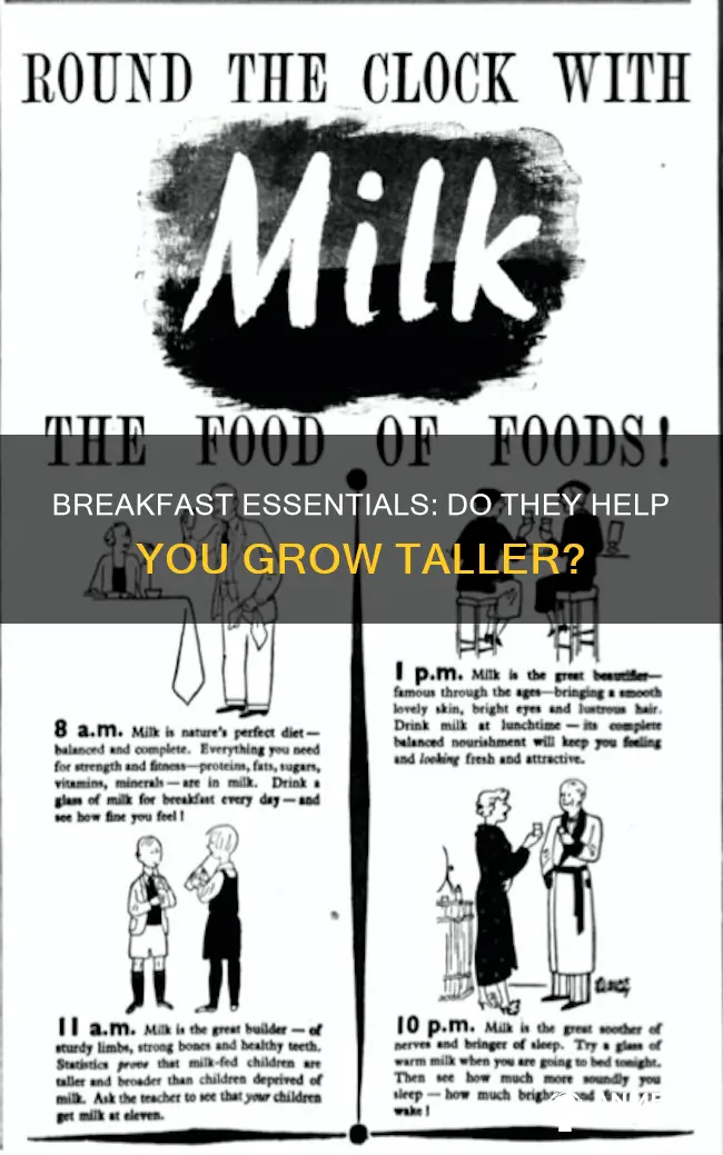 does breakfast essentials help grow taller