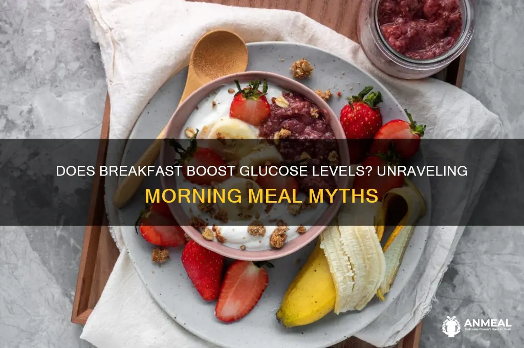does breakfast give us glucose
