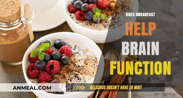 Boost Your Brain Power: The Impact of Breakfast on Cognitive Function