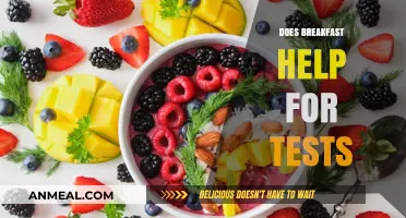 Boost Your Test Scores: The Power of Breakfast Explained