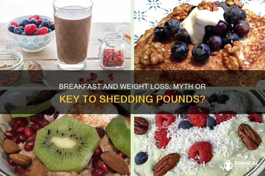 does breakfast help weight loss