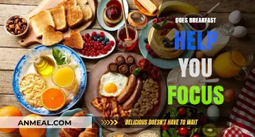 Boost Your Focus: The Surprising Role of Breakfast in Productivity