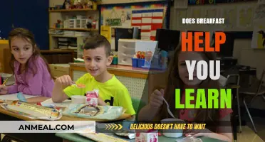Boost Your Learning: The Surprising Impact of Breakfast on Focus and Retention