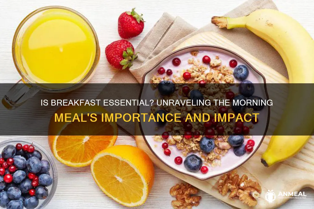 does breakfast important