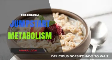 Breakfast's Role in Boosting Metabolism: Fact or Fiction?