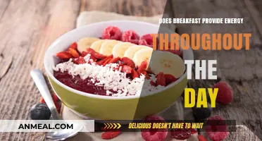 Morning Fuel: Breakfast for All-Day Energy