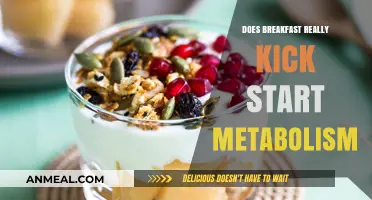 Breakfast: Metabolism Booster or Myth?