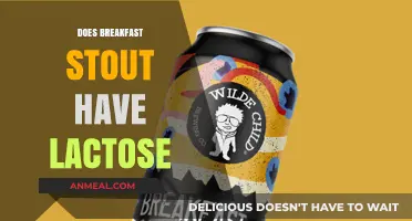 Does Breakfast Stout Contain Lactose? Unraveling the Ingredients Mystery